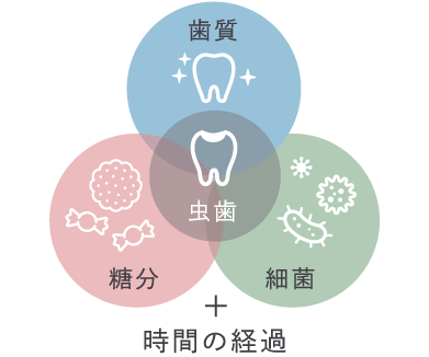 虫歯＝歯質+糖分+細菌+時間の経過